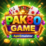 Pak80 Game