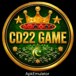 DC22 Game